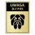 Duża Tabliczka UWAGA ZŁY PIES 40x30cm złota informacyjna druk UV aluminium